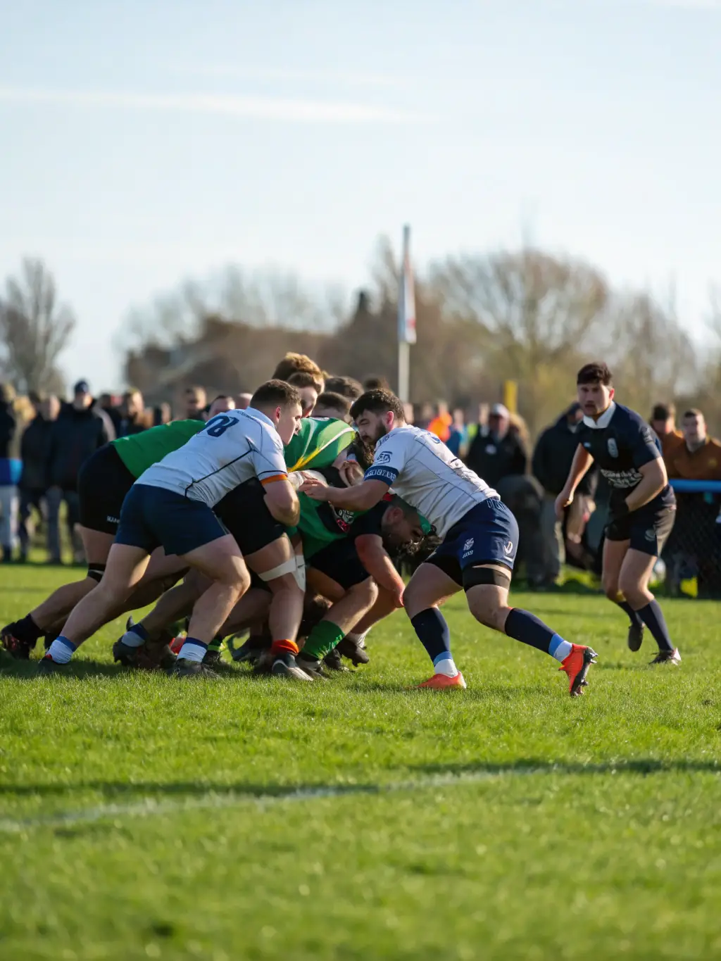 A dynamic shot of a rugby match, highlighting the intensity and excitement of competitive play.